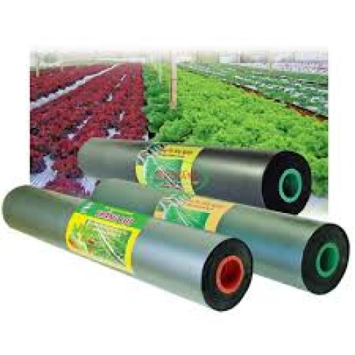 Màng phủ nông nghiệp Màng phủ nông nghiệp