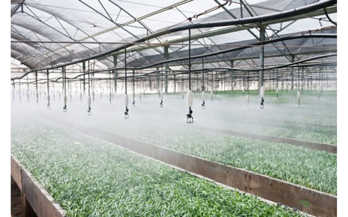 hệ thống phun sương cho vườn c&acirc;y gia đ&igrave;nh