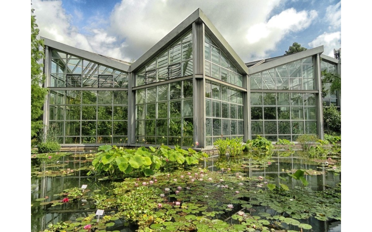 Nh&agrave; k&iacute;nh l&agrave; g&igrave;