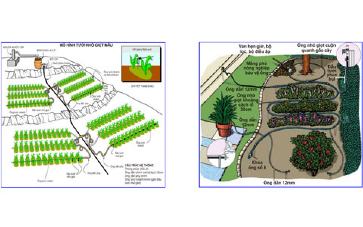M&ocirc; h&igrave;nh hệ thống tưới tự động ti&ecirc;u chuẩn