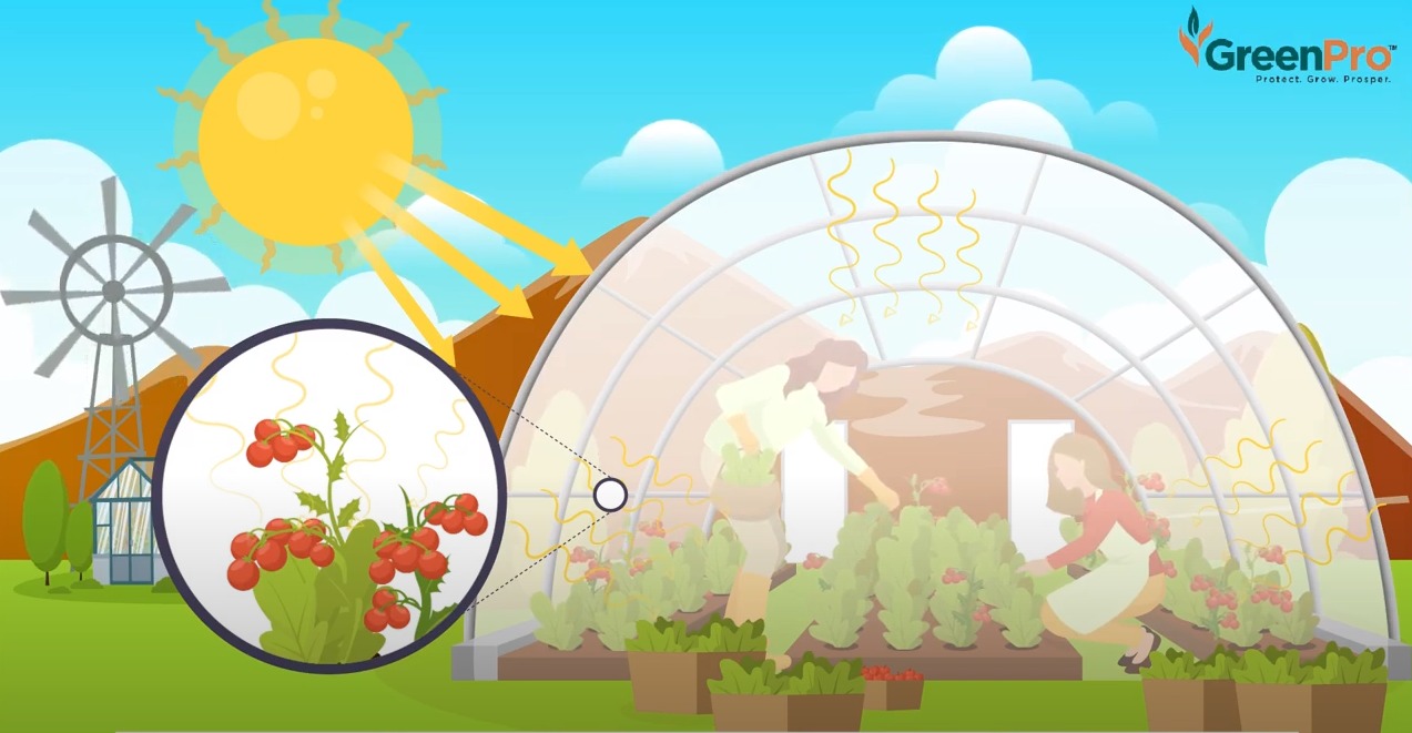 Ngăn chặn tia cực t&iacute;m gi&uacute;p c&aacute;nh hoa kh&ocirc;ng bị th&acirc;m đen.