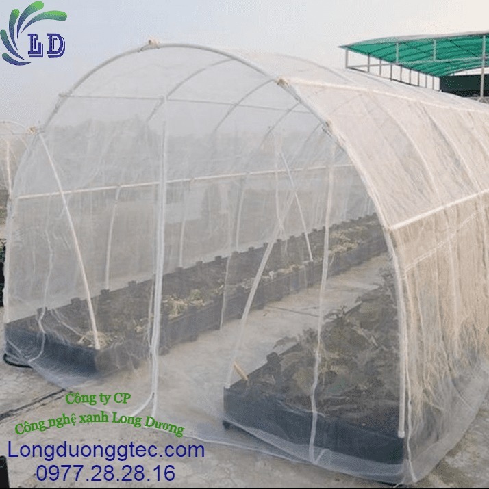 Sử dụng lưới chắn c&ocirc;n tr&ugrave;ng để ngăn ngừa s&acirc;u bướm
