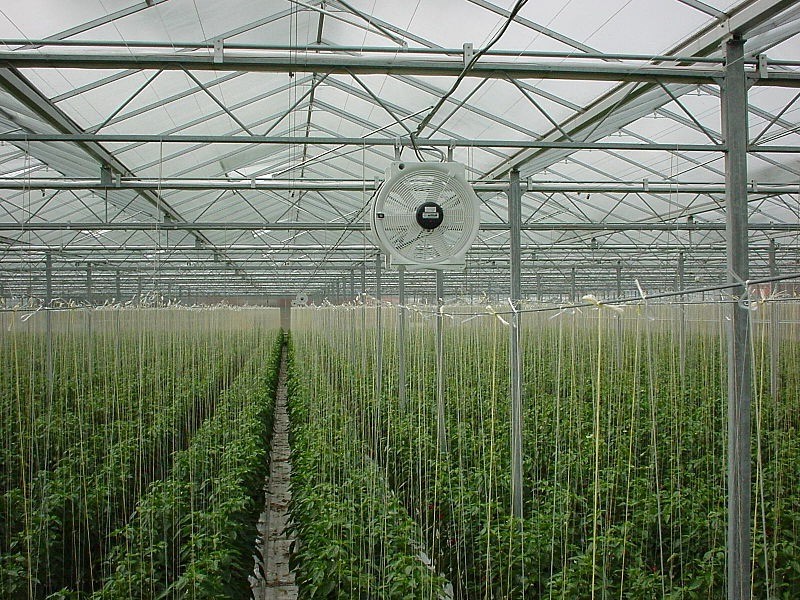 Tạo luồng kh&ocirc;ng kh&iacute; trong nh&agrave; k&iacute;nh